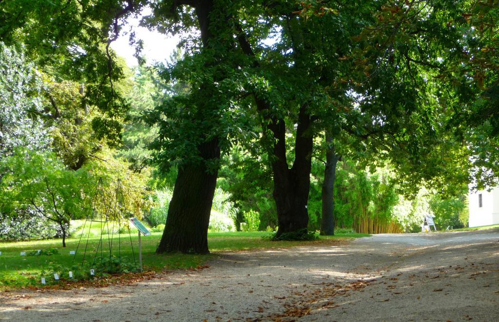 Streetview Wien - Premium Apartment Beim Belvedere Extérieur photo